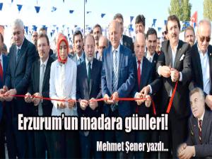Erzurumun madara günleri!