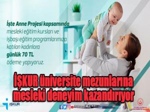İŞKUR üniversite mezunlarına mesleki deneyim kazandırıyor