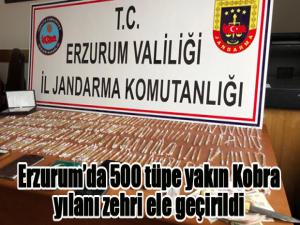 Erzurumda 500 tüpe yakın Kobra yılanı zehri ele geçirildi
