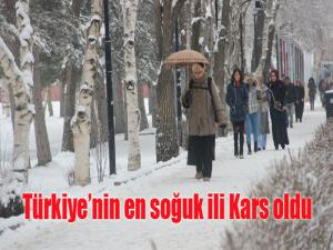Türkiyenin en soğuk ili Kars oldu
