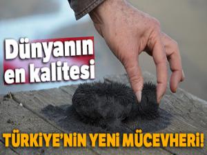 Ünye kumsallarının doğal sağlık cevheri: Manyetik siyah kum'