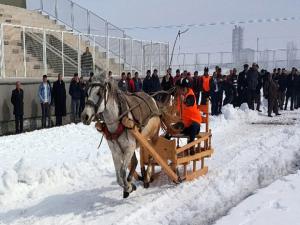 Erzurum'da "Atlı Kızak Türkiye Şampiyonası" nefes kesti