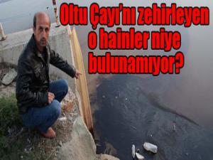Oltu Çayını zehirleyen o hainler niye bulunamıyor?