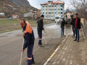 Oltuda bahar temizliği
