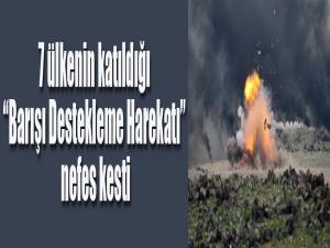 7 ülkenin katıldığı Barışı Destekleme Harekatı nefes kesti
