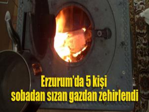 Erzurumda 5 kişi sobadan sızan gazdan zehirlendi