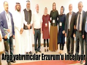 Arap yatırımcılar Erzurumu inceliyor