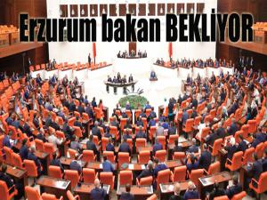 Erzurum bakan BEKLİYOR