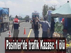 Pasinlerde trafik Kazası: 1 ölü