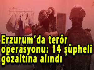 Erzurumda terör operasyonu: 14 şüpheli gözaltına alındı