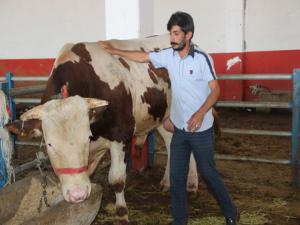 Erzurum kurban pazarının gözdesi Paşa