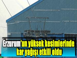 Erzurumun yüksek kesimlerinde kar yağışı etkili oldu