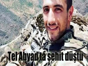 Tokat'a şehit ateşi düştü! (Piyade Onbaşı Sefa Fındık)