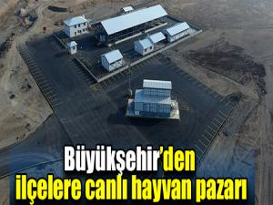 Büyükşehirden ilçelere canlı hayvan pazarı