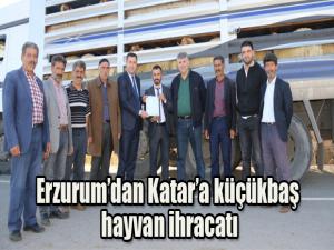 Erzurumdan Katara küçükbaş hayvan ihracatı