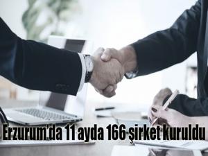Erzurumda 11 ayda 166 şirket kuruldu