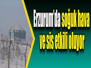 Erzurumda soğuk hava ve sis etkili oluyor