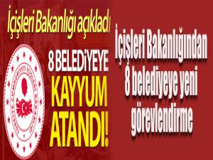 İçişleri Bakanlığından 8 belediyeye yeni görevlendirme