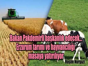 Bakan Pakdemirli başkanlık edecek
Erzurum tarımı ve hayvancılığı masaya yatırılıyor