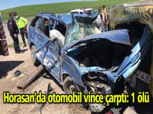 Otomobil vince çarptı: 1 ölü