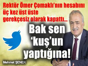 Bak senkuşun yaptığına!
