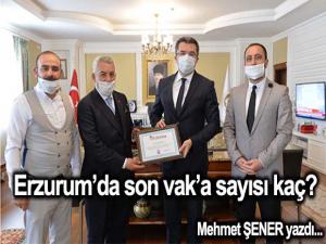 Erzurumda son vak'a sayısı kaç?