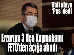 Erzurum 3 ilçe Kaymakamı FETÖden açığa alındı