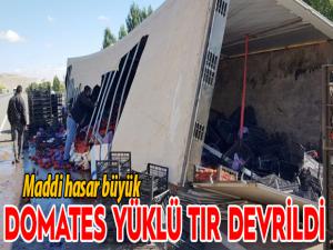 Domates yüklü Tır devrildi