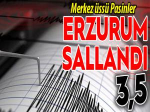 Pasinlerde orta şiddetli deprem