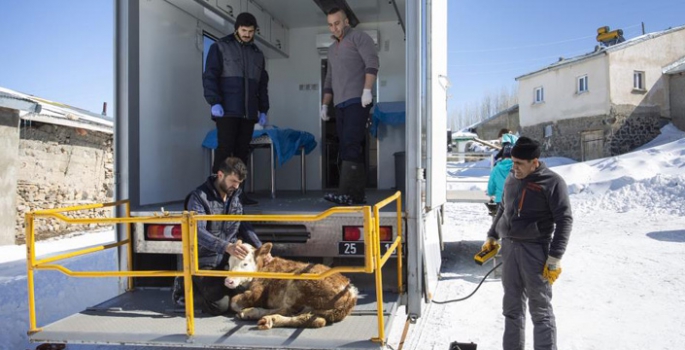 Hayvan Hastanesi, bölgeye ‘Can’ katıyor