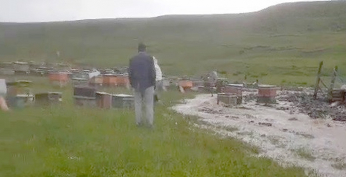 Sel ve dolu arıcıyı vurdu