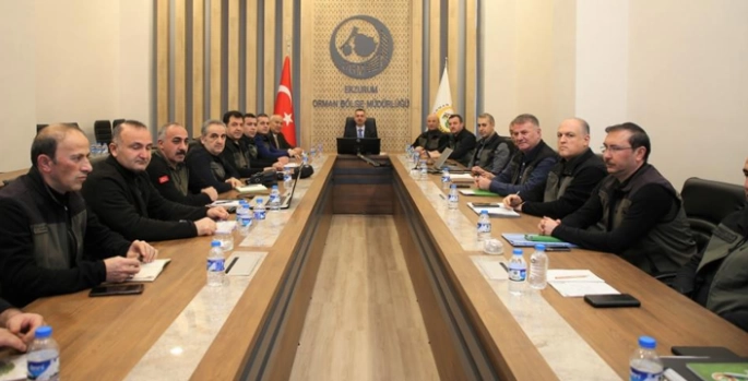 Ormanda istişare
