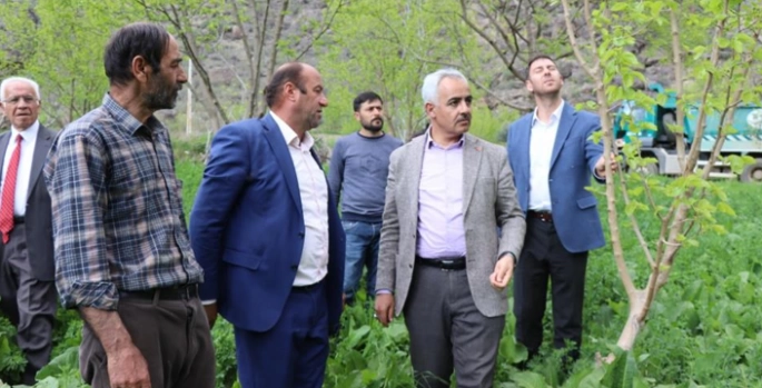 Ayvalı’da don şoku: Üretici destek bekliyor