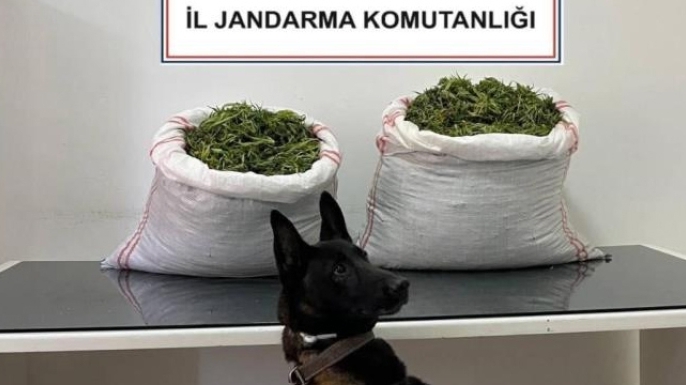 32 Kilogram kubar esrar ele geçirildi