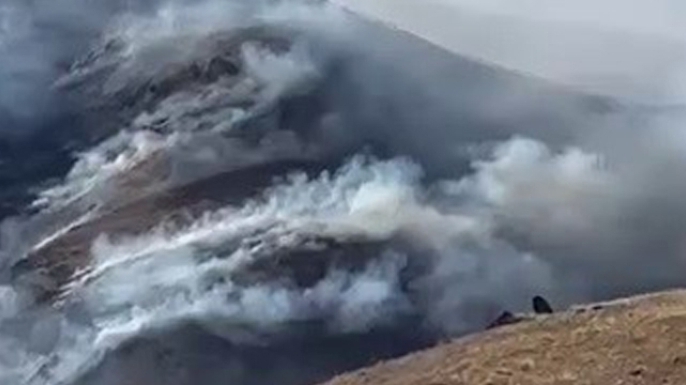 Tortum’da örtü yangını
