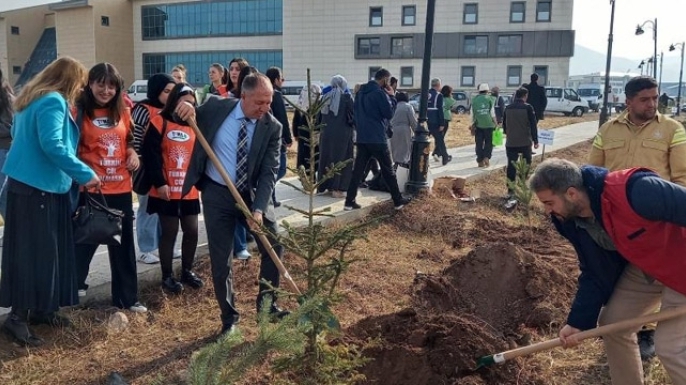 GSİM spor kampüslerine meyve ağacı dikti