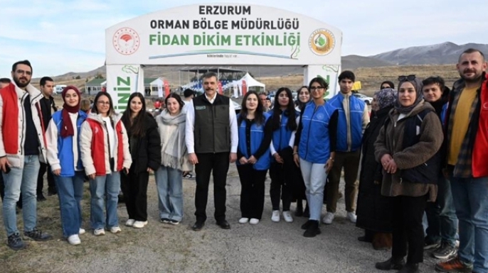Hastaya kan, ormana can