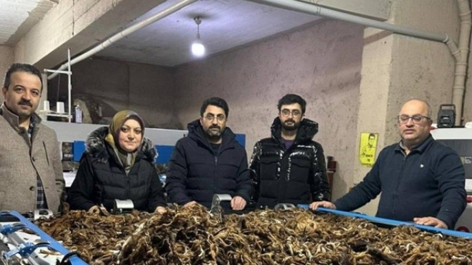 Atık yünler yeşil dönüşümle değer kazanıyor