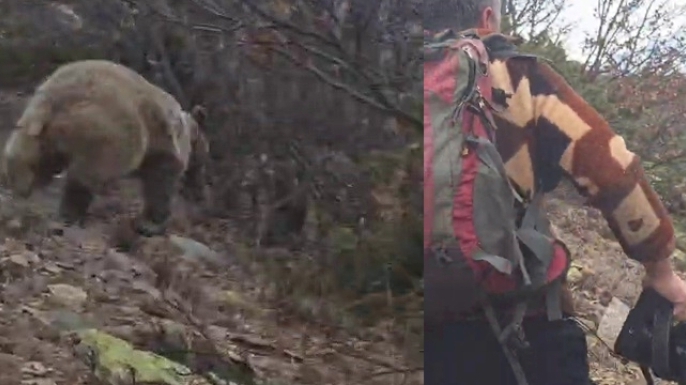 Kuş gözlemine çıktı, ayı ile karşılaştı