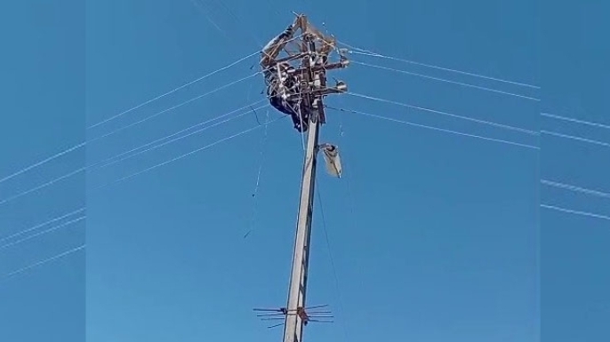 Aras Elektrik’ten doğa dostu adım