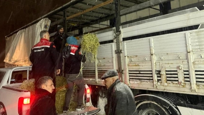 Hayvanlar aç kalmasın diye imdada yetiştiler