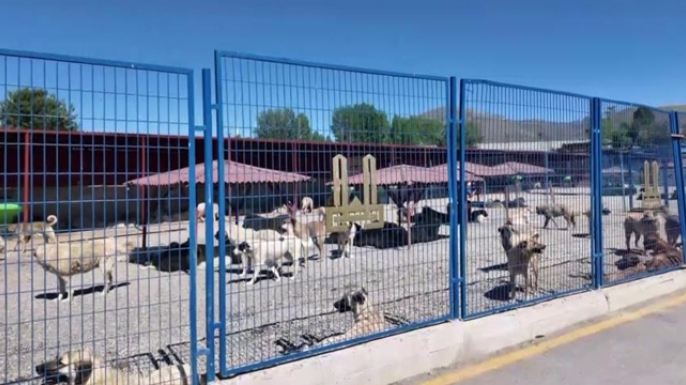Bakan Çiftçi’nin eylem planı Türkiye’ye rehber