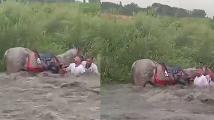 Ciritçilerin sel kâbusu!