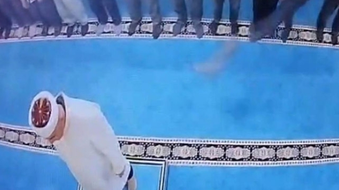 Hayvan severler kediyi arıyor