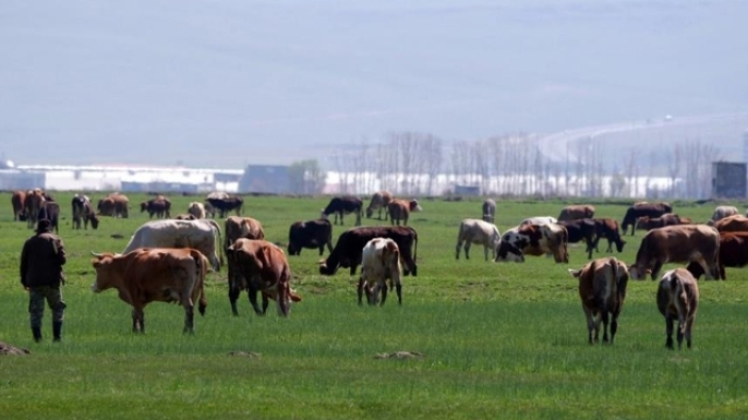 Yetiştiricilere destek müjdesi
