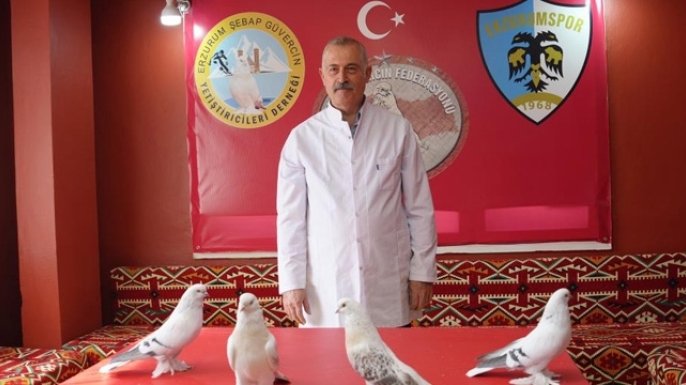Güvercin sevgisi, ev kiralattı