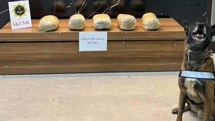 5 kilo 200 gram skunk maddesi ele geçirildi