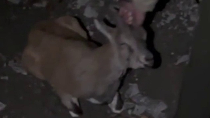 Duyarlı gençlerden örnek davranış