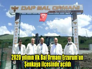 2020 yılının ilk Bal Ormanı Erzurumun Şenkaya ilçesinde açıldı.