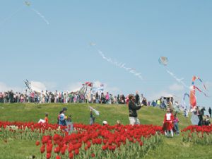 Erzurum semaları uçurtmalarla dolacak